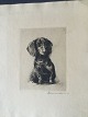 Fritz Neumann 
(1858-1920):
Siddende 
gravhund - 
Dackel.
Radering på 
papir.
Sign.: ...
