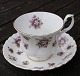 Markviol med 
guldkant Sweet 
Violets bone 
China porcelæn 
kaffestel fra 
Royal Albert, 
...