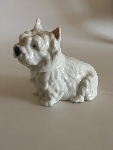 Royal Copenhagen Figur West Highland White Terrier No 4918