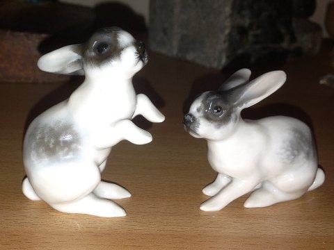Rosenthal Art Nouveau Figurer af Kaniner
