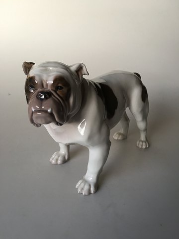 Bing & Grøndahl Figur Engelsk Bulldog No 2110