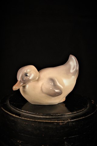 Small porcelain duck by Dahl Jensen (DJ) Royal Copenhagen.
1029.