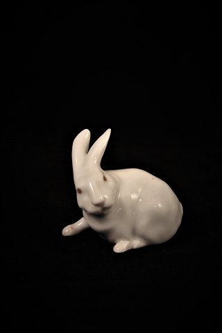 Royal Copenhagen porcelain figure of little white rabbit. (Per Herold) 1691.