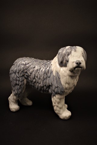 Old Royal Copenhagen porcelain figure of Old English sheepdog...