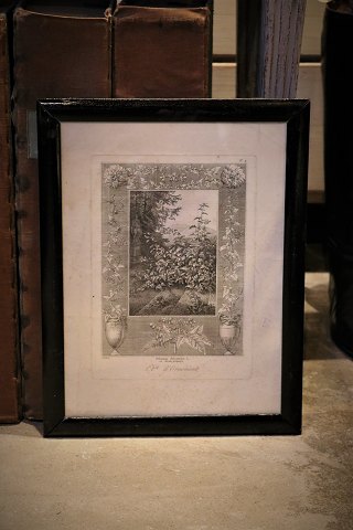 Decorative French 1800 century print with floral motif fin old black painted 
wooden frame with original hand-strung glass. 
Dimensions: 40x31cm.