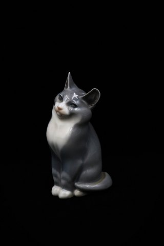 Royal Copenhagen porcelain figure of little cat.
RC# 1803. 2.sort. H:13,5cm.