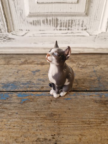 click to zoom