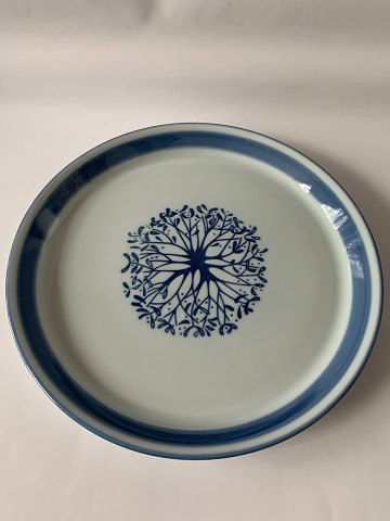 item no: 618500