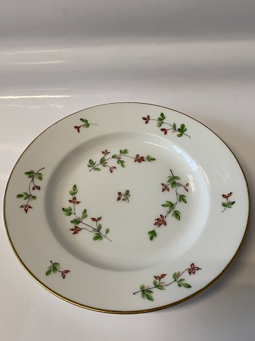 item no: 618924