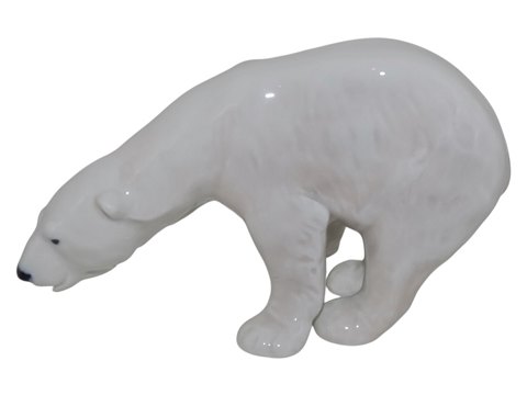 Bears<br>Royal ...
