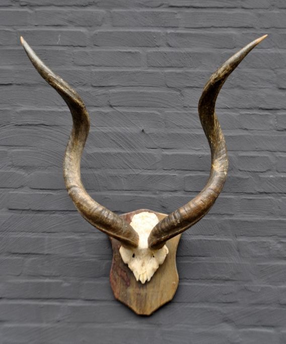 klik for zoom klik for zoom