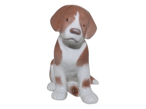 Hunde<br>Royal ...