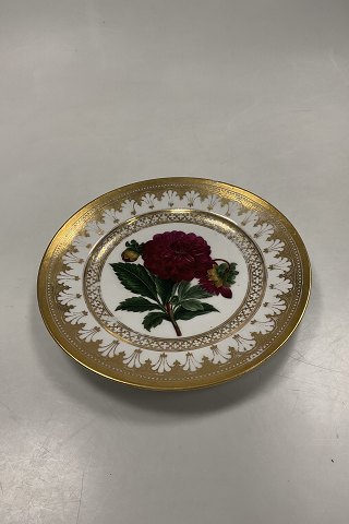Royal Copenhagen Antik Tallerken med Blomster Motiv og guld. Signeret af Christian Klein fra 1820-1850