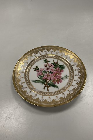 Royal Copenhagen Antik Tallerken med Blomster Motiv og guld. Signeret af Christian Klein fra 1820-1850