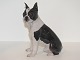 Bing & Grøndahl 
figur, Boston 
Terrier.
Fabriksmærket 
viser, at denne 
er fra mellem 
1970 og ...