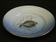 Bing & Grøndahl Mågestel - fisketallerken nr 3. rødspætteDiameter 21,5 cmFin stand