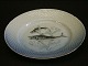 Bing & Grøndahl Mågestel m/guldkantFisketallerken nr 10. MakrelDiameter 21,5 cmFin stand
