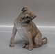 Sjælden gammel 
hund fra Bing & 
Grøndahl B&G 
1903 Mops 
siddende 13 cm 
I fin og hel 
stand.  PUG
