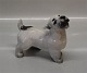 Kgl. hundefigur 
fra Royal 
Copenhagen 2668 
Kgl. Terrier 
med løftet 
hoved KK 1926 
13 x 13 cm Knud 
...