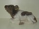 Royal 
Copenhagen 
Figurine, Calf.
Decoration 
number 1072.
Factory first.
Measures 16.5 
...