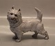 Bing & Grøndahl 
Hund B&G 2073 
Cairn terrier 
16 x 18 cm LJ I 
fin og hel 
stand.  1. sort
