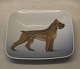 3690 Kgl. 
Hudnefad  Boxer 
10.5 x 10.5 cm  
 fra  Royal 
Copenhagen I 
hel og fin 
stand
