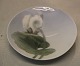 370-1109 Art 
nouveau platte 
9.5 cm hvid 
blomst  fra  
Royal 
Copenhagen I 
hel og fin 
stand
