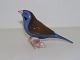 Bing & Grøndahl 
fuglefigur, blå 
finke på pind.
Af 
fabriksmærket 
ses det, at 
denne er ...