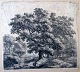 Waterloo, 
Anthonius (1610 
- 1690) 
Holland: En vej 
ved et egetræ. 
Kobberstik. 
Usigneret. 13,2 
x ...