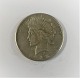United States silver $ 1. Peace dollar. 1925. Diameter 38 mm