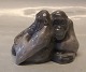 0721 Kgl. 
Orangutang - 
par 10 x 14 cm  
(Pongo 
pygmaeus) Knud 
Kyhn 1906   fra 
 Royal 
Copenhagen I 
...