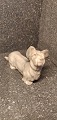 2137 Bing og 
grøndahl Skye 
Terrier 11cm. 1 
sortering