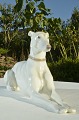 B&G figur 
porcelæn. B&G 
liggende 
Greyhund nr. 
2079. Højde 
11,3cm. Længde 
27,5cm. 1. 
Sortering, ...