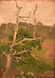 J.S. Tojstov, 
Rusland. Olie 
på lærred. 
Landskab med 
trætop. Dateret 
1929.
Lærredet 
måler: 36 x ...