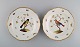 To antikke Meissen tallerkener i håndmalet porcelæn med fugle, blomster, 
insekter og gulddekoration. 1800-tallet.
