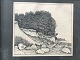Hans de Vos 
(1891-1949):
Kystparti med 
klint 1921.
Radering på 
papir.
Sign.: Hans de 
Vos ...