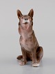 Antik Bing & 
Grøndahl 
porcelænsfigur. 
Siddende 
schæferhund. 
Modelnummer 
2197. Tidligt 
...