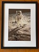 Originalt NASA farveoffsetfotografi / fotoprint fra 1969 af Edwin "Buzz" Aldrin under Apollo-11 ...