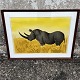 Hans Scherfig, Litografi fra 1968, “Næsehorn i solskin”, Ramme 61cm høj, 80,5cm bred, ...