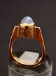 14 karat dansk design guld ring størrelse 51 vægt 5,7 gram med månesten emne nr. 498947