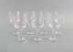 Syv René Lalique Chenonceaux hvidvinsglas i klart mundblæst krystalglas. Midt ...