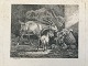 Johannes Vilhelm Zillen (1824-70):En ged, et kit og kaniner i en stald 1859.Radering på ...