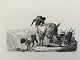 Johannes Vilhelm Zillen (1824-70):Bjerggeder.Radering på papir.Sign.: UsigneretFør ...