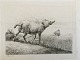 Johannes Vilhelm Zillen (1824-70):Får og mand med lam 1859.Radering på papir.Sign.: W. ...