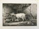 Johannes Vilhelm Zillen (1824-70):3 geder og 2 kaniner i stald.Radering på papir.Sign.: W. ...