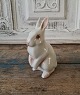 B&G figur, 
kanin 
No. 2443, 1. 
sortering
Højde 12,5 cm. 

Design: K. 
Otto