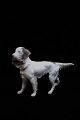 Bing & Grøndahl 
porcelænsfigur 
af Engelsk 
Sætter hund. 
H:22,5cm.
Dekorationsnummer: 
2015. ...