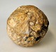 Sten fossil i 
form af kugle. 
På fod af jern. 
Dia. kugle: 13 
cm. 