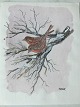Erik Stuhr (1936-2014):2 fugle på gren vinter.Akvarel på papir.Sign.: E. Stuhr.Uden ...