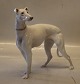 B&G 2078 
Greyhound 24 x 
24 cm, hvid 
tæve Bing & 
Grøndahl I fin 
og hel stand. 
Hanhunden har 
nr 2076
